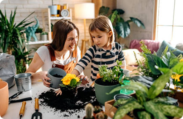 Most gardens consist of a mix of natural