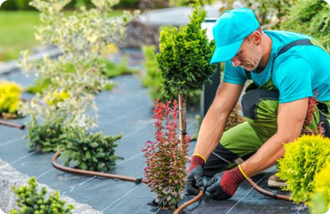 you'll see it regularly of sight, out of mind