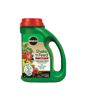 product-2_1269979556