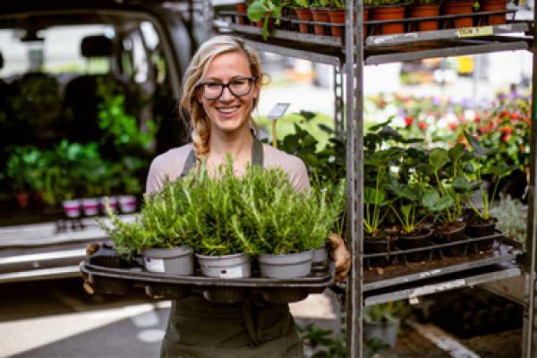 seeding new trees and plants